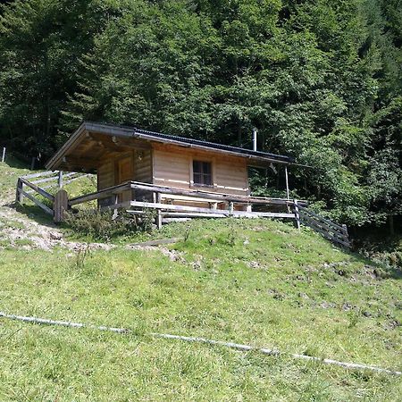 Haus Theresia Alpbach Exterior photo