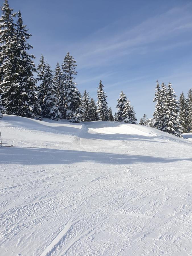 Haus Theresia Hotel Alpbach Exterior photo