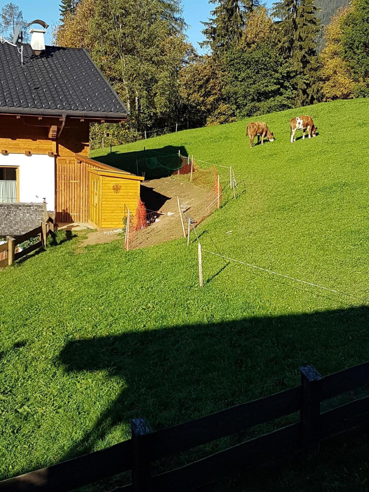 Haus Theresia Alpbach Exterior photo