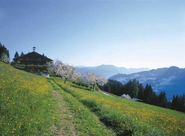 Haus Theresia Alpbach Exterior photo