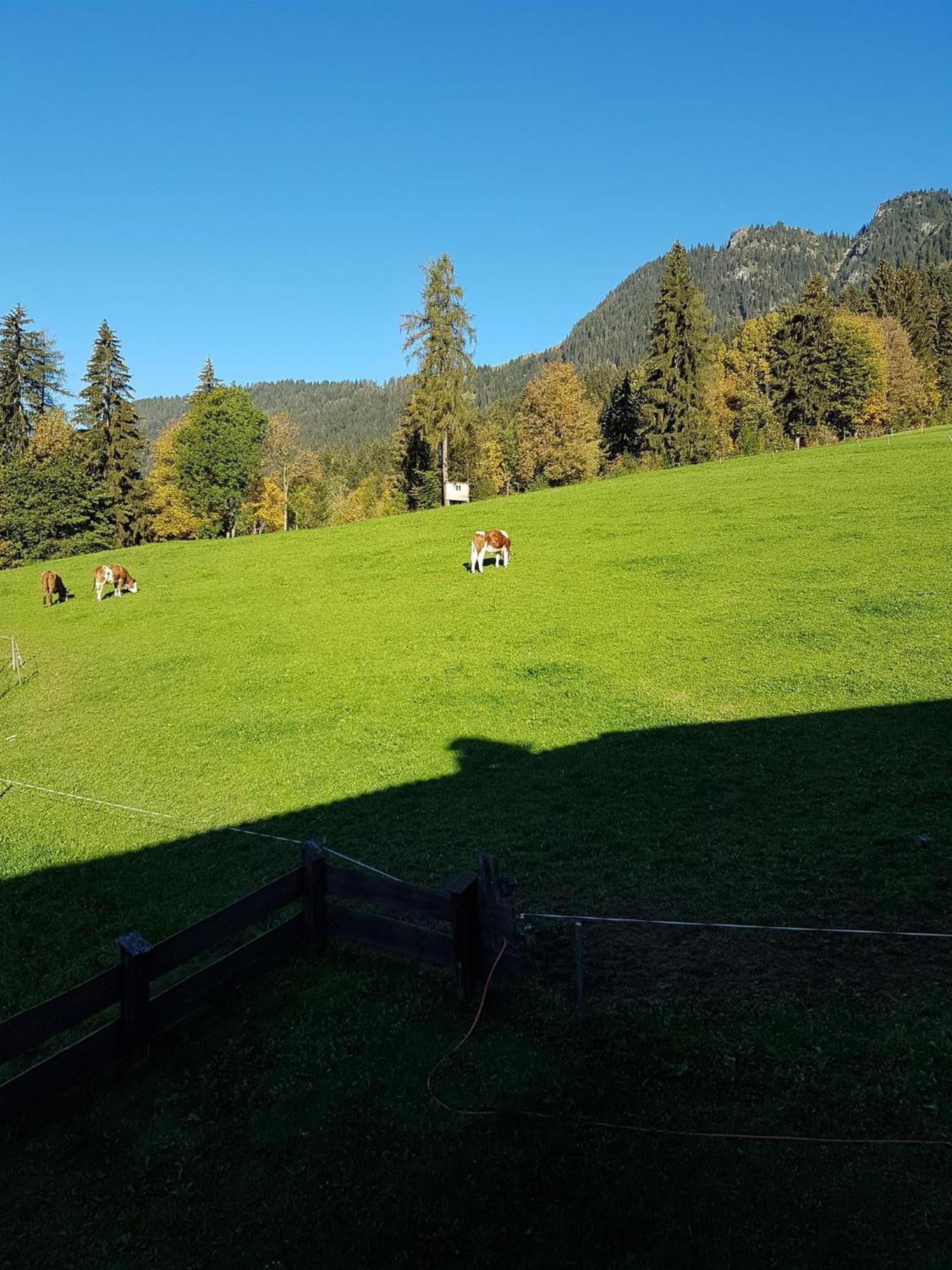 Haus Theresia Hotel Alpbach Exterior photo